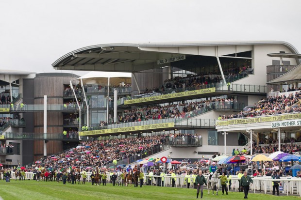 Runners parade at Grand National 2014 - racehorsephotos.co.uk