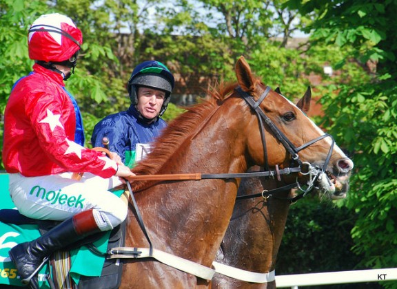 Sire de Grugy