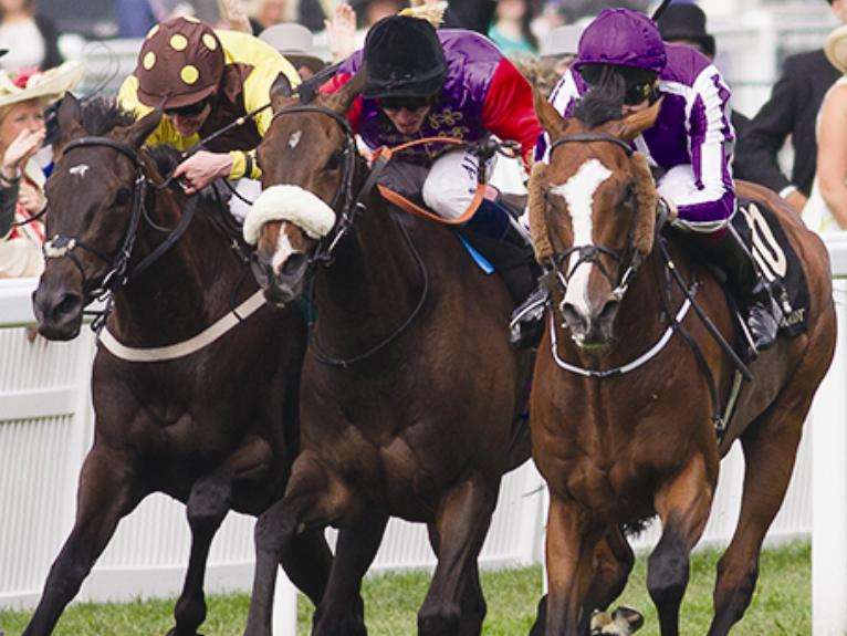 Estimate wining the Ascot Gold Cup back in 2013