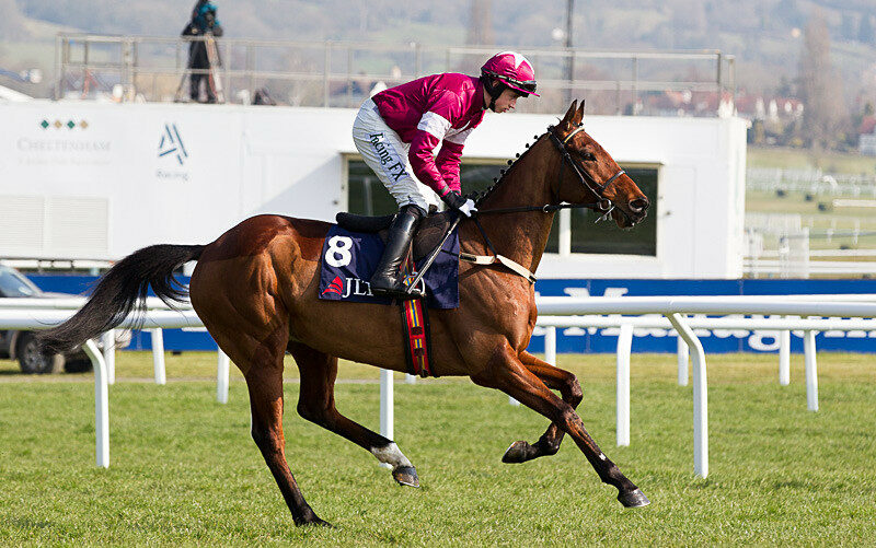 2022 Stayers Hurdle Free Tips and Trends Racing Ahead Magazine