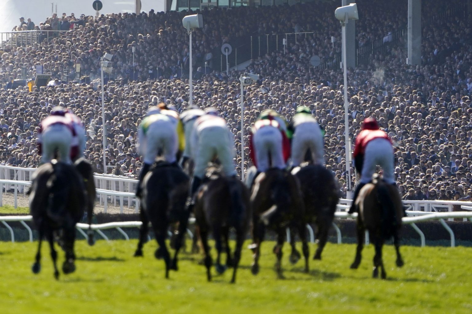 Cheltenham Festival 2026: Dates, how to watch on TV, trainers and ...