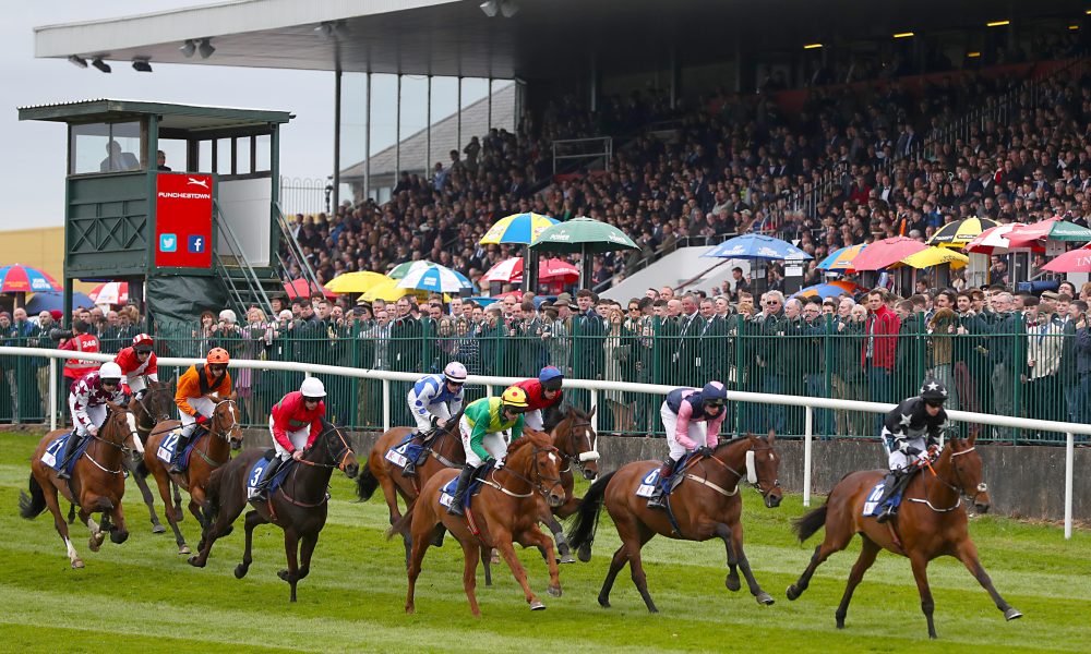 Punchestown Festival
