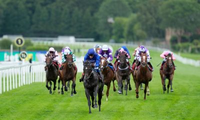 Ruling Court Guineas