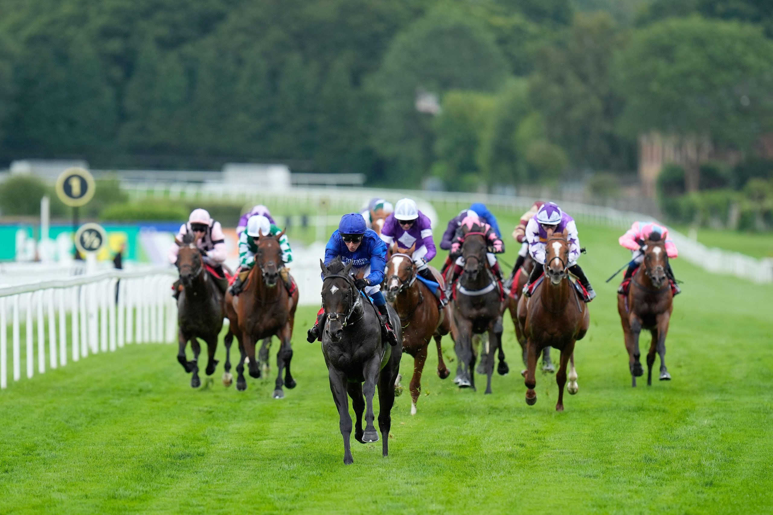 Ruling Court Guineas