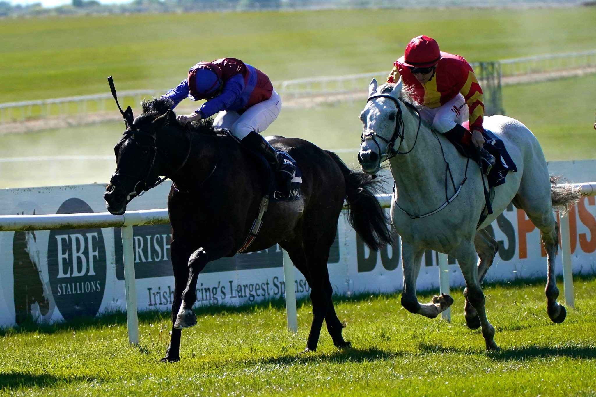 Irish Rising's Irish Derby Festival 2025: Derby analysis and preview - Racing Ahead ...
