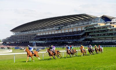 Royal Ascot Stock