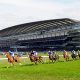 Royal Ascot Stock