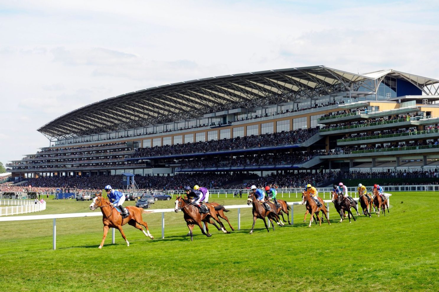 Royal Ascot Stock