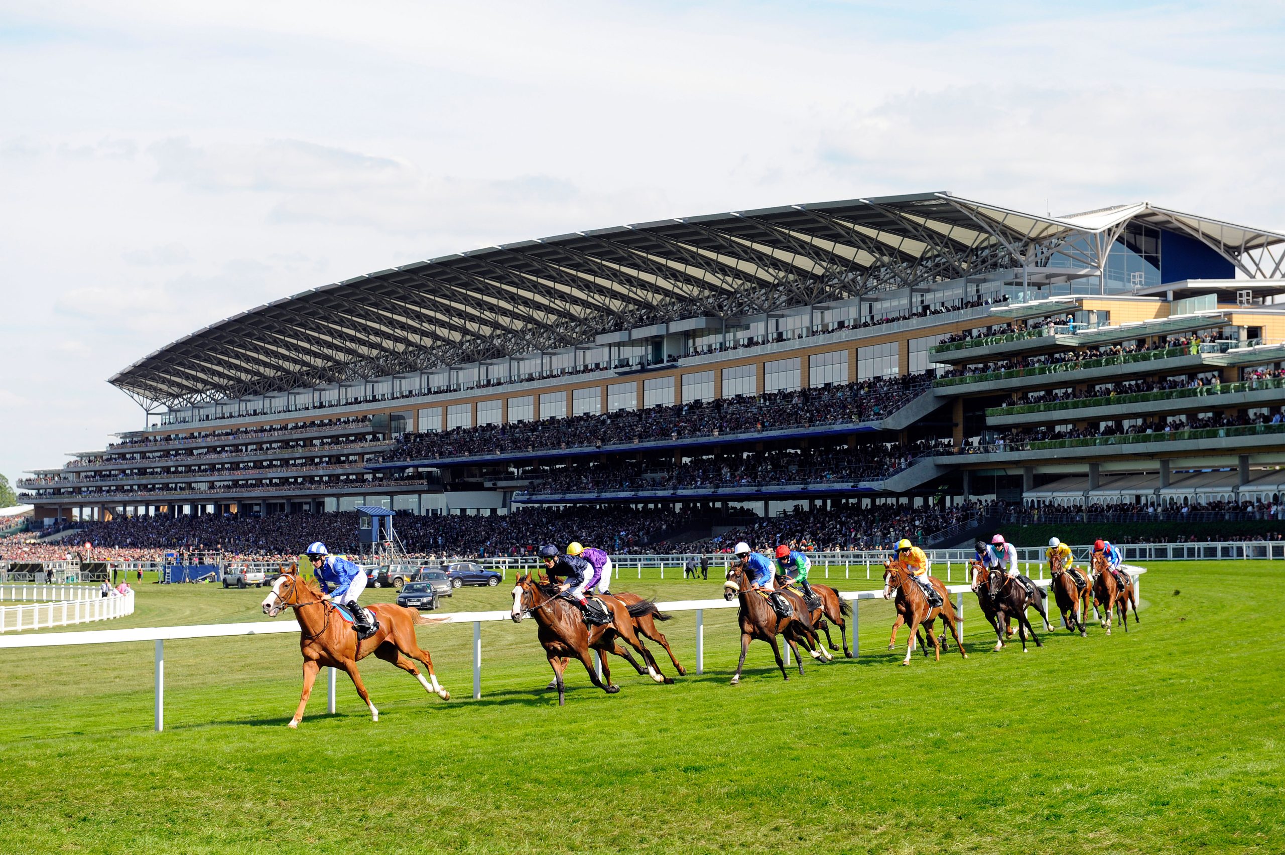 Royal Ascot Stock