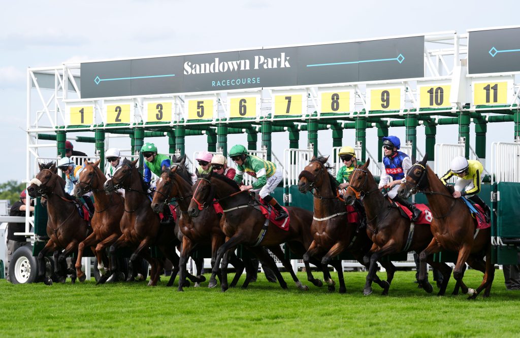 Coral-Eclipse