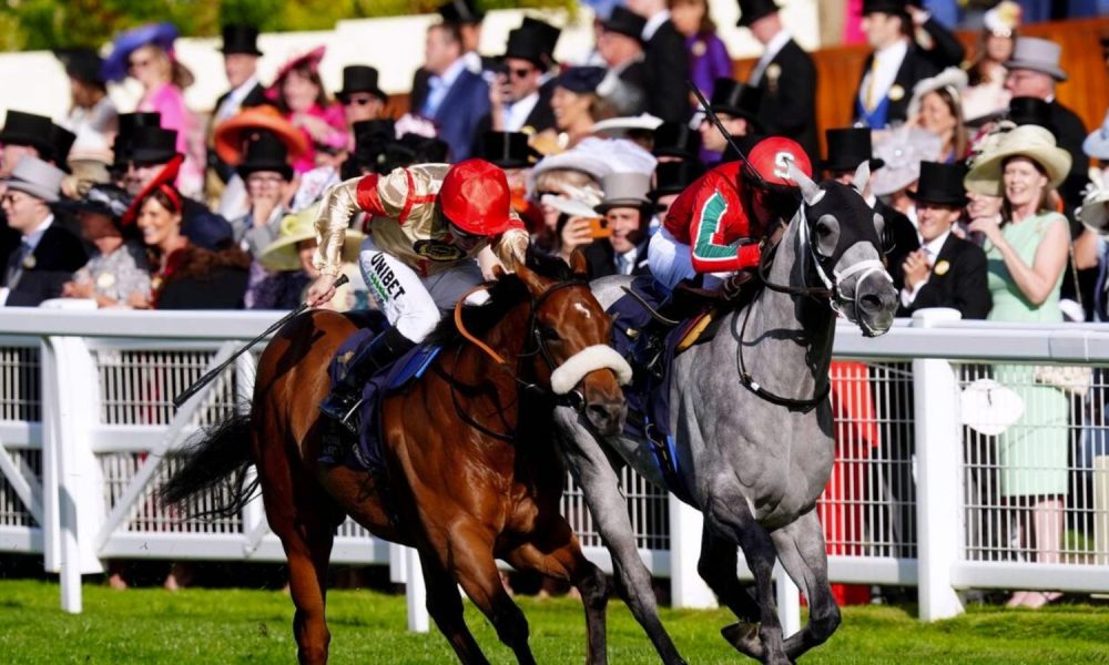 Aint Nobody heads the betting at 7/1 for Saturday’s £200,000 Ladbrokes Ayr Gold Cup, as one of Europe’s richest sprint handicaps takes centre stage. PICTURE: Alamy