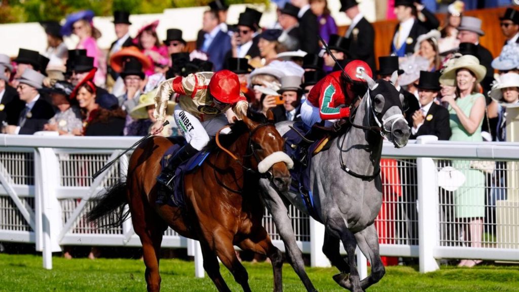 Ain't Nobody heads the betting at 7/1 for Saturday's £200,000 Ladbrokes Ayr Gold Cup, as one of Europe's richest sprint handicaps takes centre stage. PICTURE: Alamy