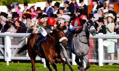 Aint Nobody heads the betting at 7/1 for Saturday’s £200,000 Ladbrokes Ayr Gold Cup, as one of Europe’s richest sprint handicaps takes centre stage. PICTURE: Alamy