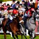 Aint Nobody heads the betting at 7/1 for Saturday’s £200,000 Ladbrokes Ayr Gold Cup, as one of Europe’s richest sprint handicaps takes centre stage. PICTURE: Alamy