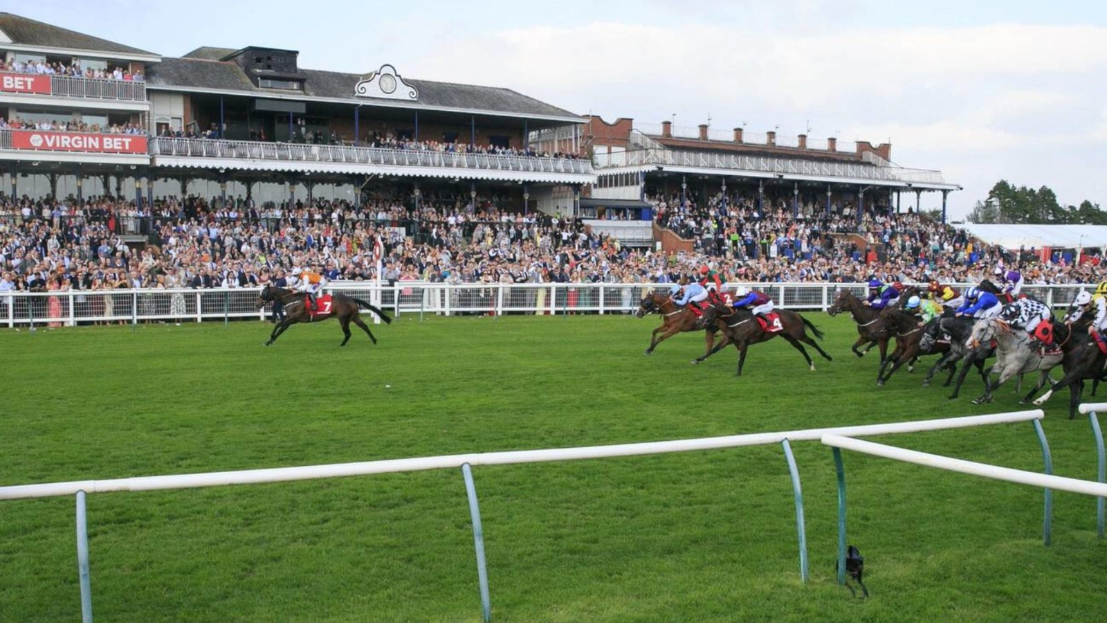 The 2025 Ayr Gold Cup Festival begins this week, featuring three days of top-class flat racing and culminating with the showpiece Ayr Gold Cup on Saturday PICTURE: Alamy