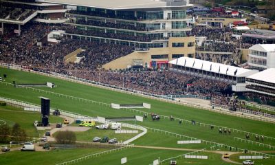 Cheltenham has announced changes to the racegoer experience for the new season