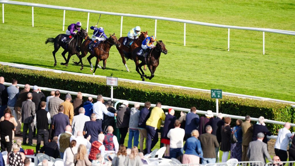 Sweet William bids to defend his crown in the Doncaster Cup, with Sunway, Coltrane and rising star Pendragon among the main challengers in the Stayers’ Triple Crown finale.