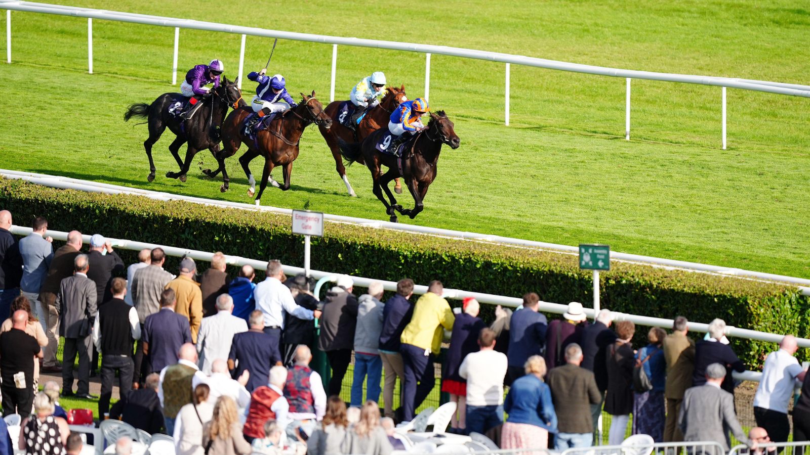 Sweet William bids to defend his crown in the Doncaster Cup, with Sunway, Coltrane and rising star Pendragon among the main challengers in the Stayers’ Triple Crown finale.