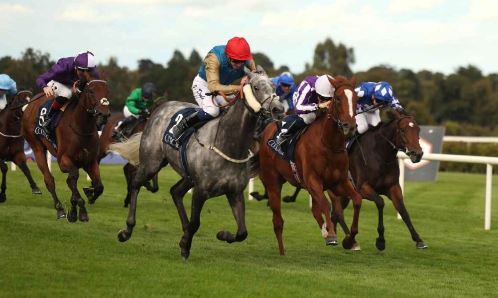 Fallen Angel was a good winner in Ireland