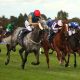 Fallen Angel was a good winner in Ireland