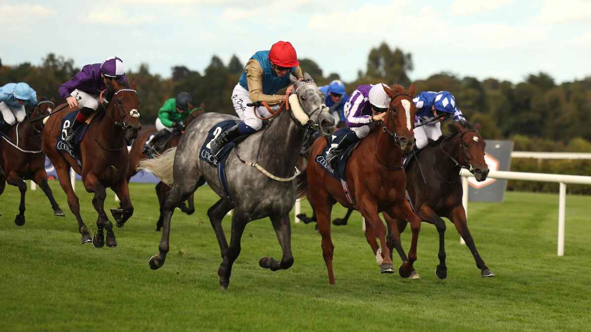 Fallen Angel was a good winner in Ireland