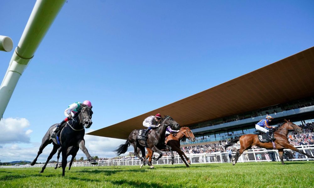 Delacroix bids to give Aidan O’Brien a 13th Irish Champion Stakes, but faces stiff competition from Japanese raider Shin Emperor, Johnny Murtagh’s rising star Zahrann, and seasoned contenders Anmaat and White Birch PICTURE: Alamy