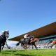 Delacroix bids to give Aidan O’Brien a 13th Irish Champion Stakes, but faces stiff competition from Japanese raider Shin Emperor, Johnny Murtagh’s rising star Zahrann, and seasoned contenders Anmaat and White Birch PICTURE: Alamy