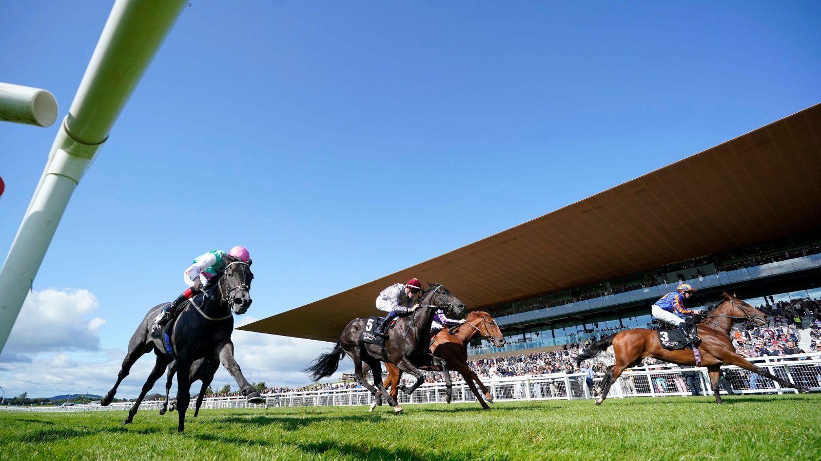 Delacroix bids to give Aidan O’Brien a 13th Irish Champion Stakes, but faces stiff competition from Japanese raider Shin Emperor, Johnny Murtagh’s rising star Zahrann, and seasoned contenders Anmaat and White Birch PICTURE: Alamy