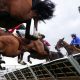 Changes have been made to the racing programme