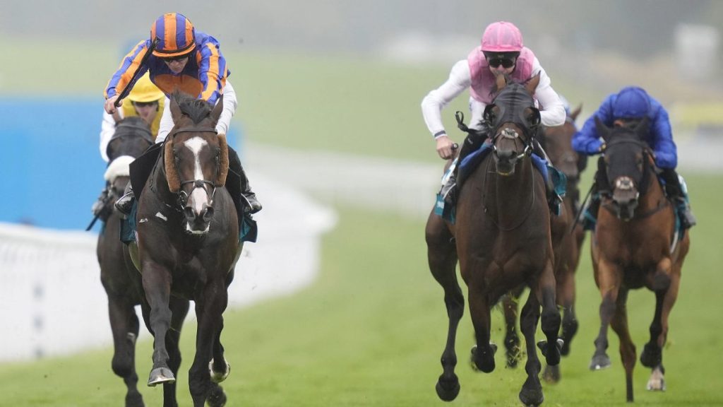 Scandinavia (left) had to battle hard to win the Goodwood Cup