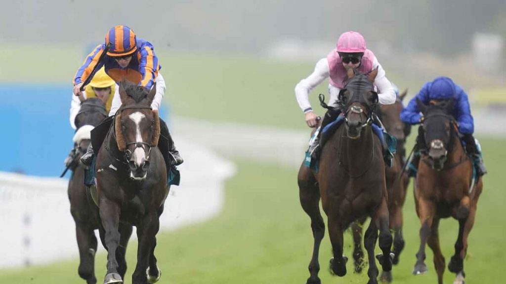 Scandinavia (left) beat older horses to win the Goodwood Cup
