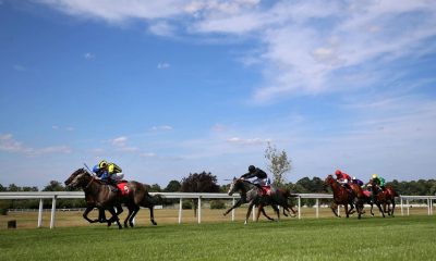Staya has been forced to retire