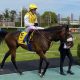 David Menuisier has high hopes for Sunway in the Doncaster Cup