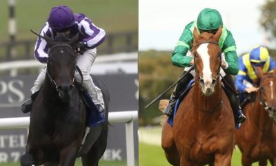 Hawk Mountain (left) takes on Benvenuto Cellini at Doncaster