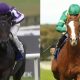 Hawk Mountain (left) takes on Benvenuto Cellini at Doncaster