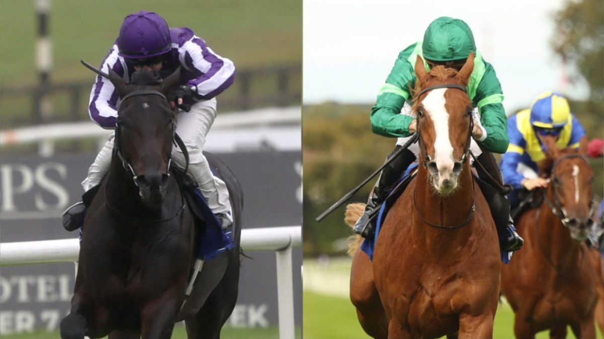 Hawk Mountain (left) takes on Benvenuto Cellini at Doncaster