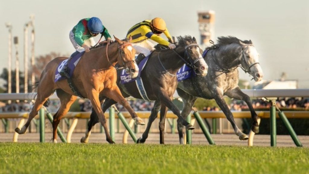 Calandagan ridden by jockey Mickael Barzalona for trainer Francis-Henri Graffard