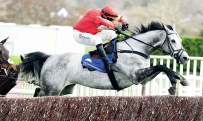 L’Eau du Sud ridden by Harry Skelton