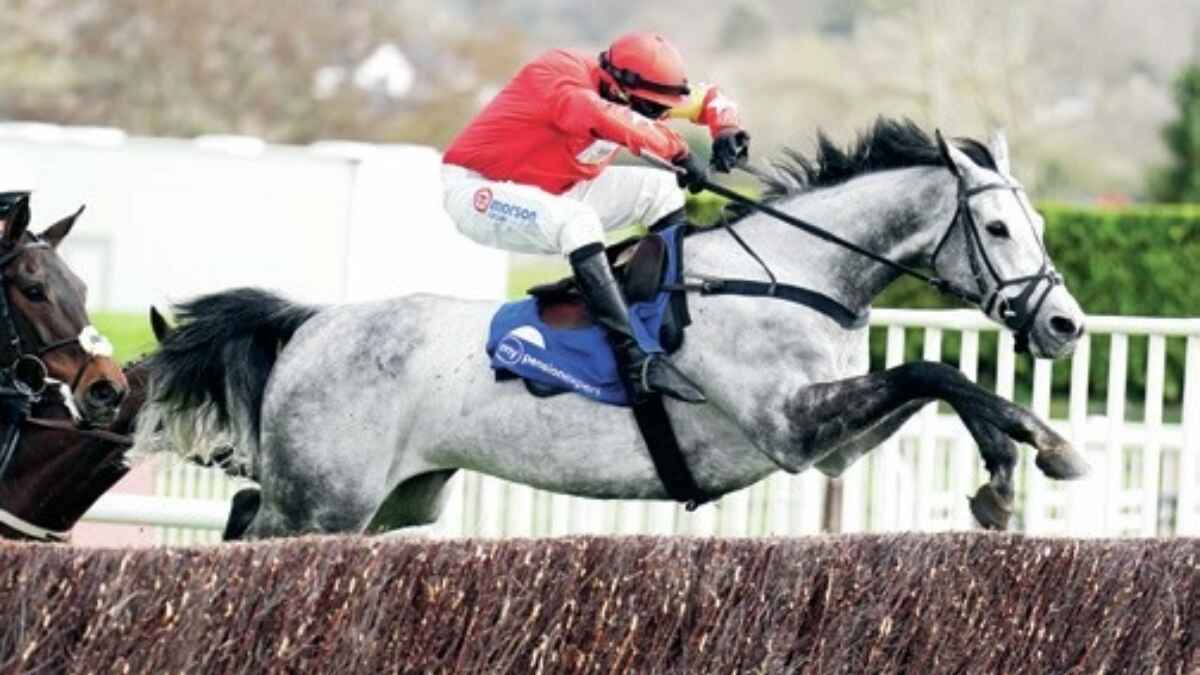 L’Eau du Sud ridden by Harry Skelton