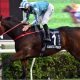 Romantic Warrior wins the Hong Kong Cup
