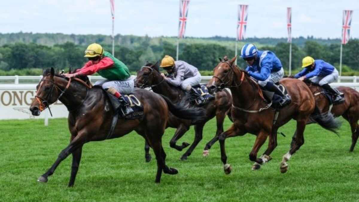 Ascot