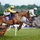 Paul Townend riding State Man (left) and Danny Mullins riding Lossiemouth during The Irish Champion Hurdle at Leopardstown Racecourse