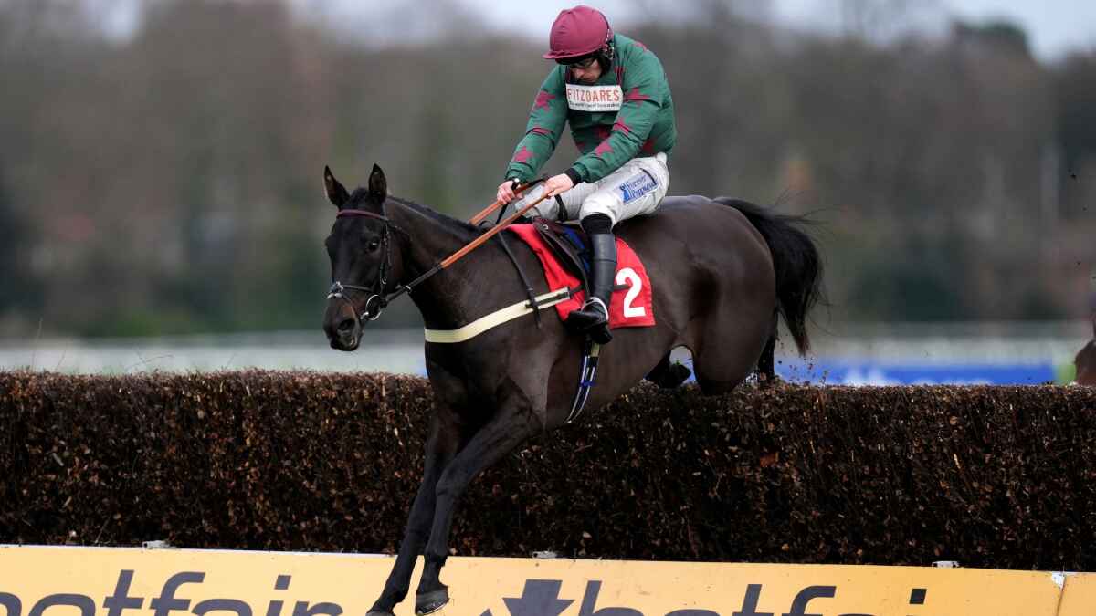 Handstands could be Grand National bound