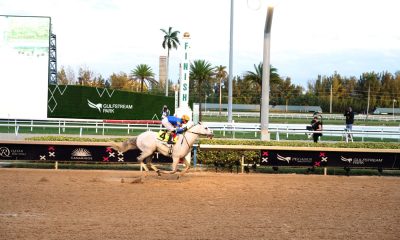 White Abarrio crosses the finish line and wins the race during Pegasus World Cup 2025 at Gulfstream Park