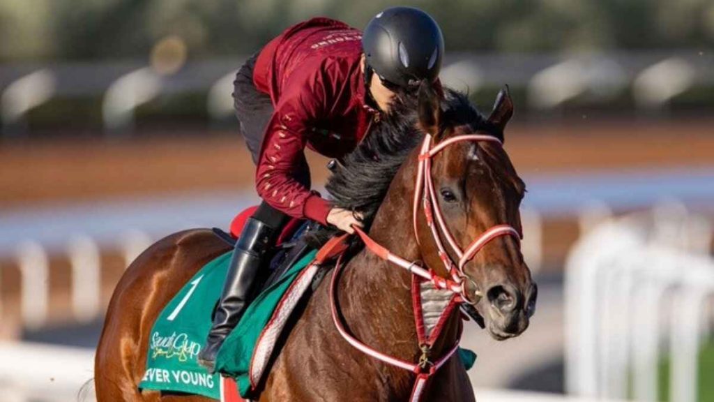 Last year&rsquo;s Saudi Cup hero is back to defend his crown in Riyadh