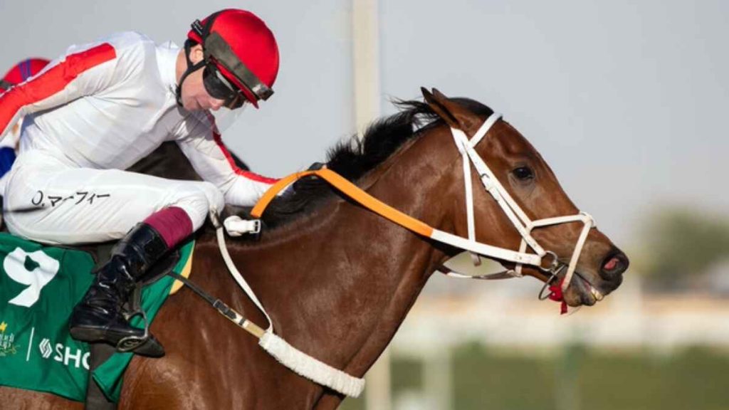 Imagination delivered the goods as Baffert struck dirt gold again