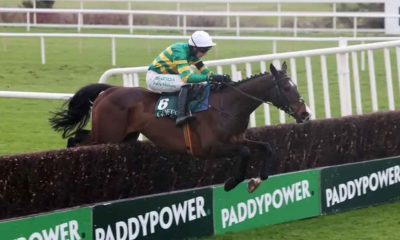 Majborough is now the highest-rated horse in training after the Dublin Chase rout