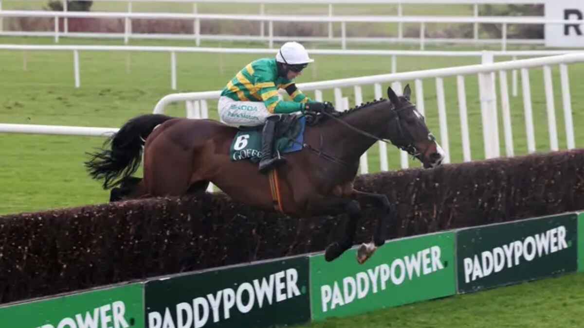 Majborough is now the highest-rated horse in training after the Dublin Chase rout