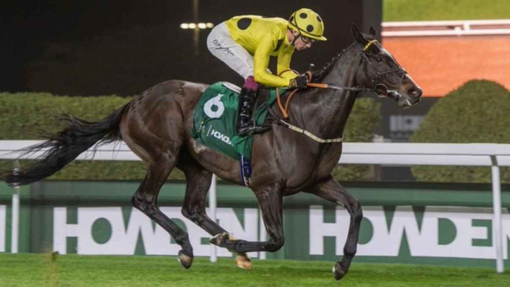 Michael Schofield went to post looking to defend his Tuwaiq Cup crown