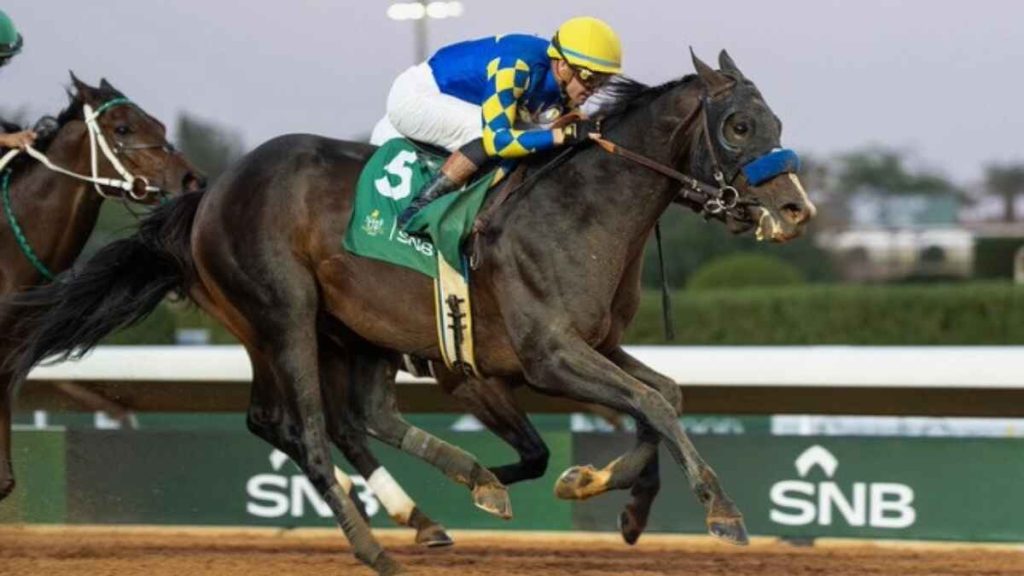 Royal Champion turned back the clock with a stunning Neom Cup victory